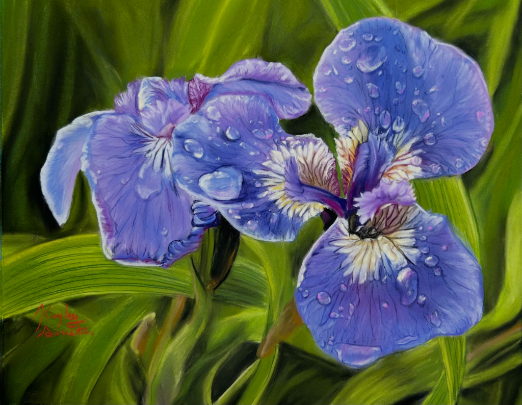 Iris's - Award Winner